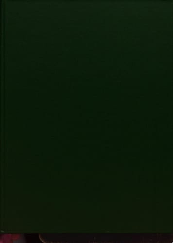 Qumran Cave 4: XIV: Parabiblical Texts, Part 2 (Discoveries in the Judaean Desert, XIX)