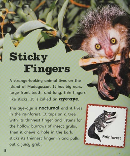 Oxford Reading Tree Infact: Level 9: Big Ears and Sticky Fingers