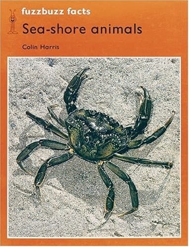 Fuzzbuzz Facts Pack (Fuzzbuzz Level 2)