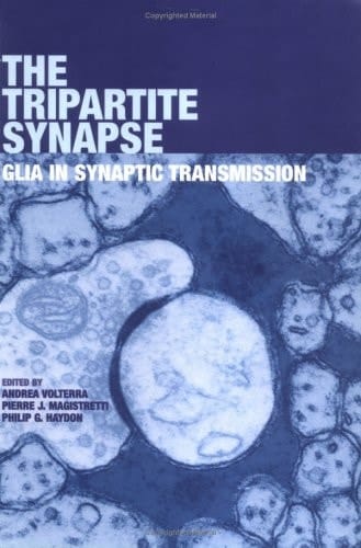 The Tripartite Synapse: Glia in Synaptic Transmission
