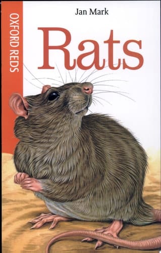 Rats (Oxford Reds)