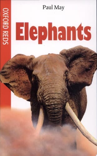 Elephants (Oxford Reds)