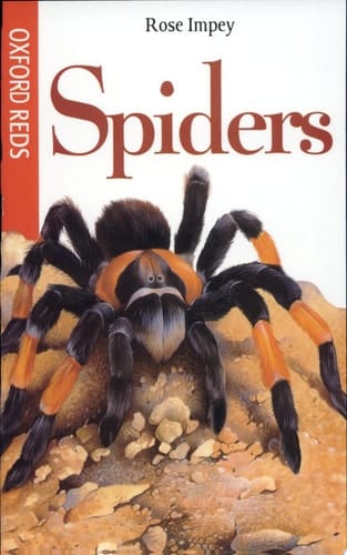 Spiders (Oxford Reds)