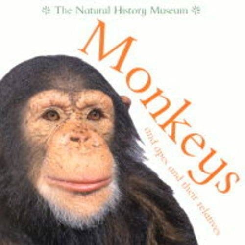 Monkeys & Apes & Their Relatives