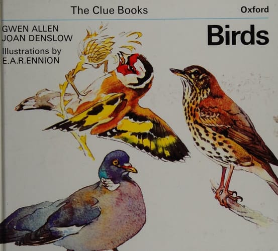 Clue Books: Birds