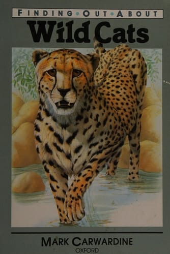 Oxford Reading Tree: Stage 11: Branch Library Pack B (Oxford Reading Tree)