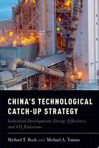 China's Technological Catch-Up Strategy: Industrial Development, Energy Efficiency, and CO2 Emissions
