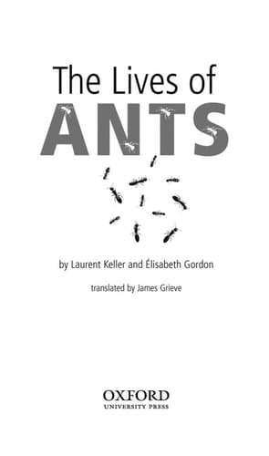 Kristeva and the Political (Thinking the Political)