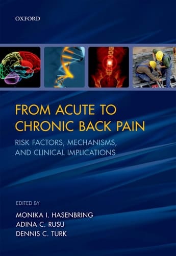 From Acute to Chronic Back Pain: Risk Factors, Mechanisms, and Clinical Implications