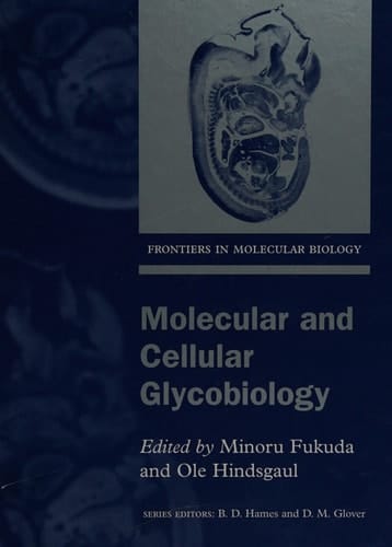 Molecular and Cellular Glycobiology (Frontiers in Molecular Biology, 30)