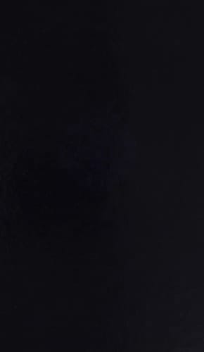 Thomas Traherne: Centuries, Poems, and Thanksgivings: Volume I: Introduction and Centuries (Thomas Traherne: Centuries, Poems, and Thanksgivings)