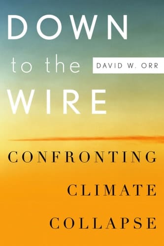 Down to the Wire: Confronting Climate Collapse