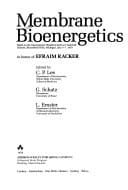 Membrane Bioenergetics: Based on the International Workshop Held at Cranbrook Schools, Bloomfield Hills, Michigan, July 5-7, 1979 in Honor of