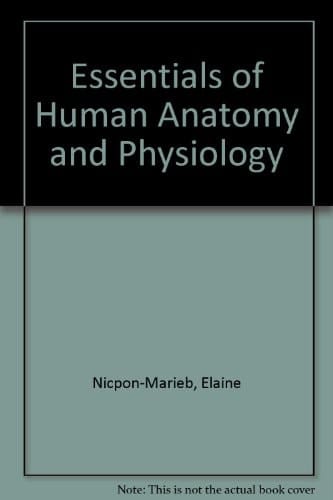 Essentials of Human Anatomy and Physiology