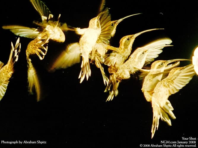 A tutorial guide to Lotus 1-2-3 release 2.3: An introduction to problem solving with spreadsheets