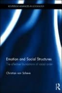 Emotion and Social Structures: The Affective Foundations of Social Order