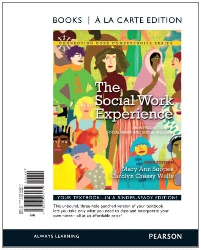 The Social Work Experience: An Introduction to Social Work and Social Welfare, A La Carte Edition