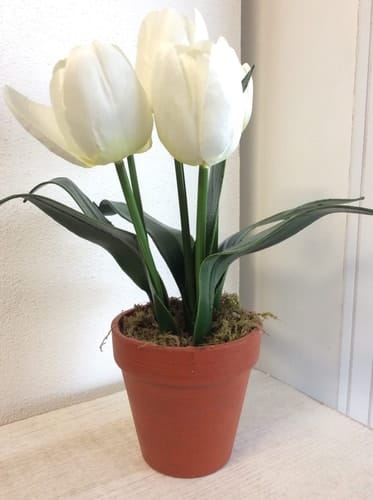 Becoming a Teacher Annotated Instructor's Manual