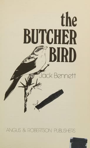 The butcher bird