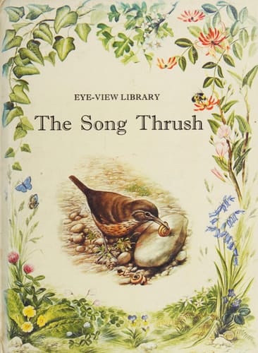 Song Thrush (Eye View Lib.)