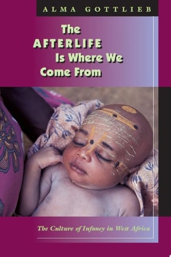 The Afterlife Is Where We Come From
