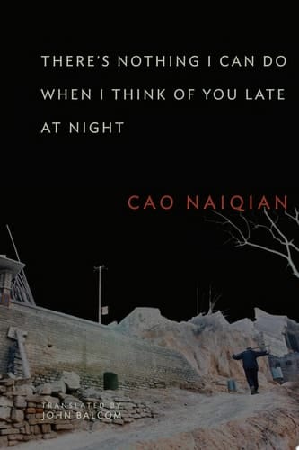There’s Nothing I Can Do When I Think of You Late at Night