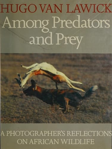 Among Predators and Prey: A Photographer's Reflection on African Wildlife
