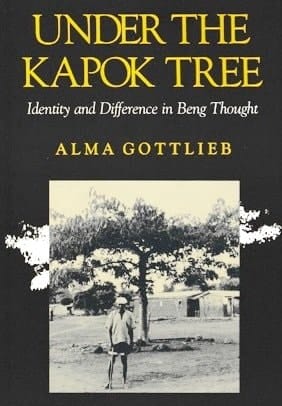 Under the Kapok Tree: Identity and Difference in Beng Thought (African Systems of Thought)