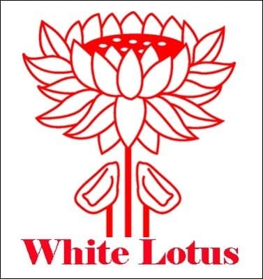 The Translation of Things Past Chinese History and Historiography