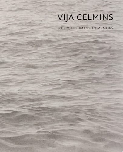 Vija Celmins To Fix the Image in Memory