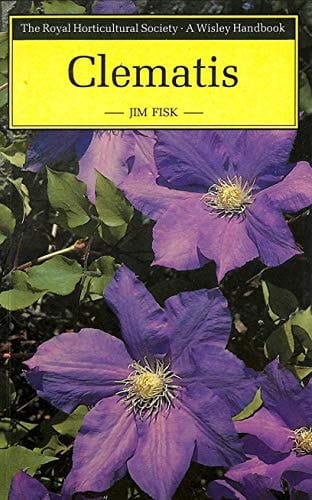 Clematis