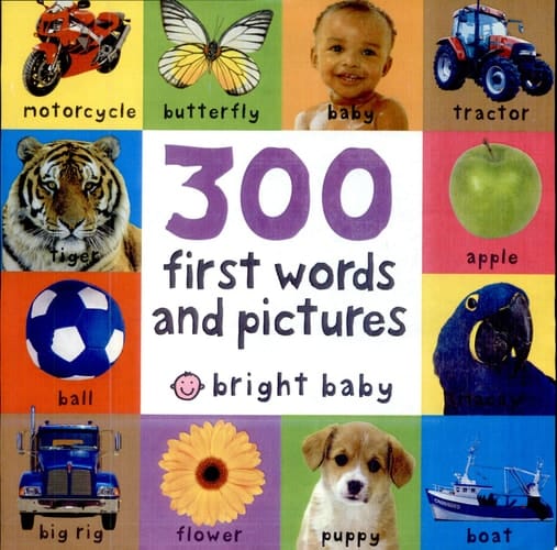 300 First Words and Pictures