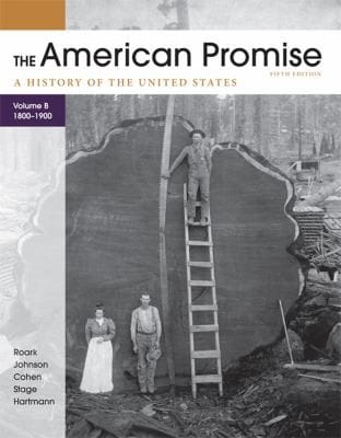 The American Promise Volume B 18001900