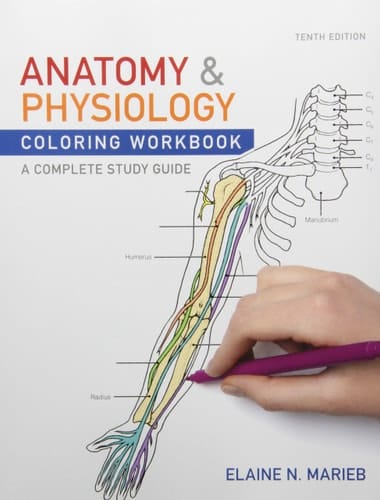 Anatomy and Physiology Coloring Workbook and Essentials of Human Anatomy and Physiology Plus MasteringA&P with EText Package