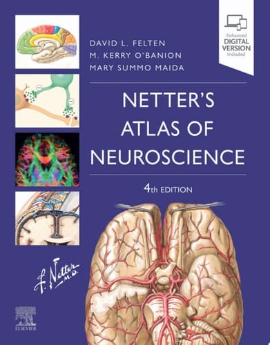 Netter's Atlas of Neuroscience E-Book Netter's Atlas of Neuroscience E-Book