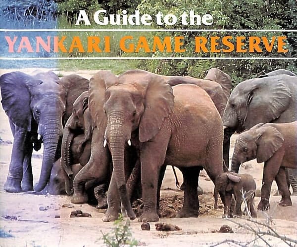 A Guide to the Yankari Game Reserve