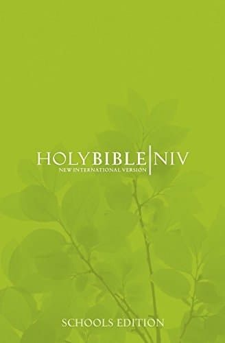 NIV Schools Bible