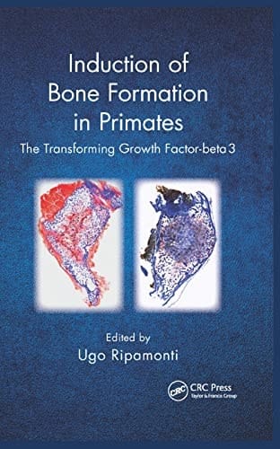 Induction of Bone Formation in Primates The Transforming Growth Factor-Beta 3