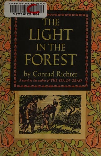 The light in the forest