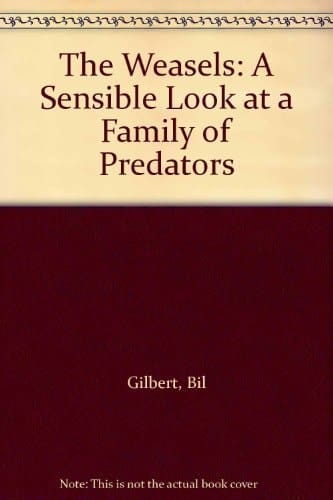 The Weasels: A Sensible Look at a Family of Predators