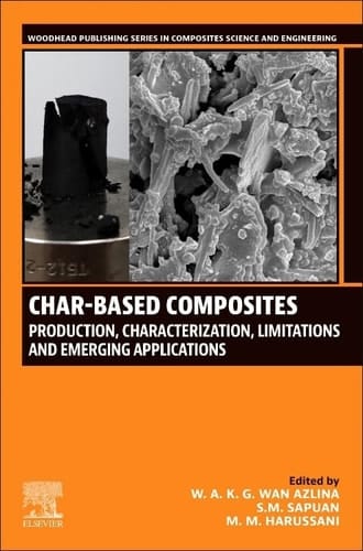 Char-based Composites Production, Characterization, Limitations, and Emerging Applications