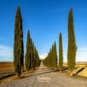 Toskana Herbst 2017