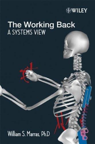working back: a systems approach to understanding how work influences low back pain