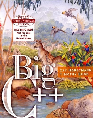 WIE Big C++