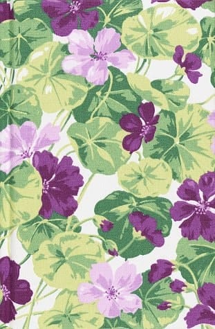 Pansy Garden