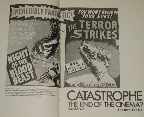 Catastrophe the End of the Cinema