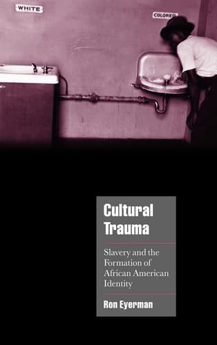 Cultural Trauma: Slavery and the Formation of African American Identity (Cambridge Cultural Social Studies)