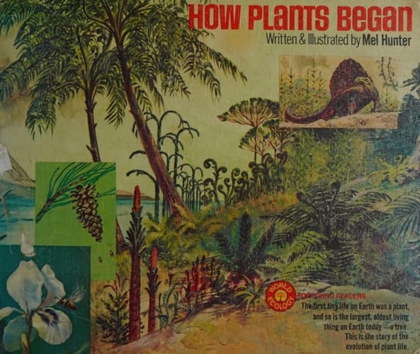 How Plants Began