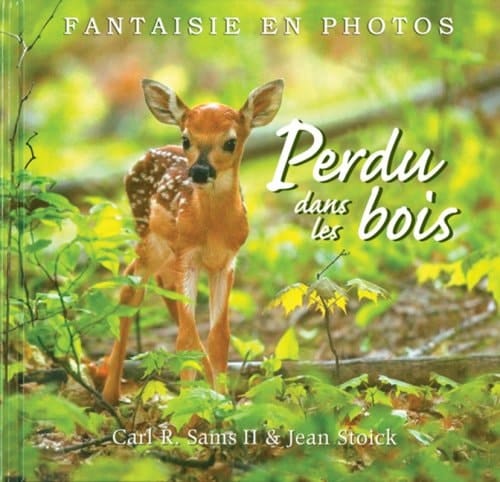 Perdu Dans Les Bois