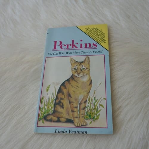 Perkins The Cat who was More Than a Friend